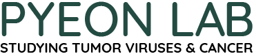 Pyeon Lab Logo